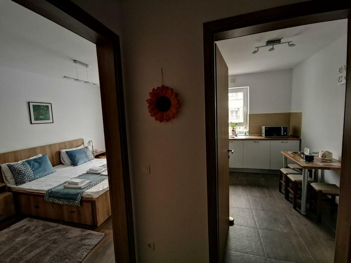 Mei Brasov Bagian luar foto