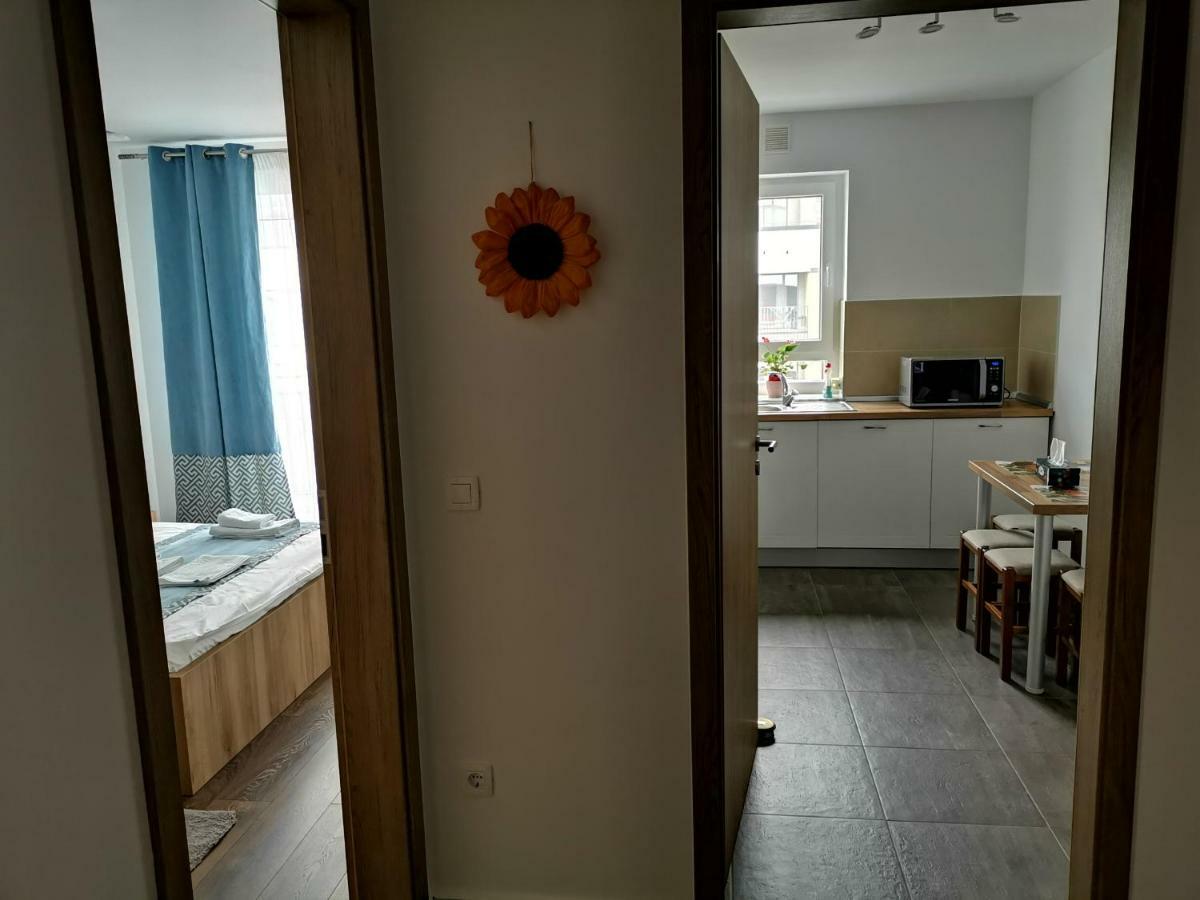 Mei Brasov Bagian luar foto