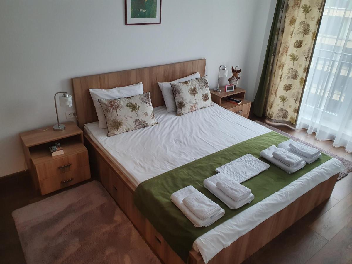 Mei Brasov Bagian luar foto